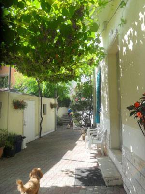 Albergo Villa-Brandi --- Pensione Completa --- Bellaria-Igea Marina Eksteriør bilde